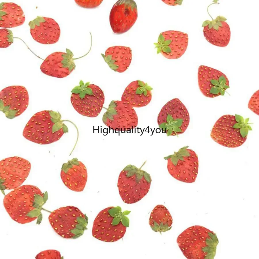 10pcs Dried Pressed Mini Fruit - Body Jewelry Display Case recensione e prezzo