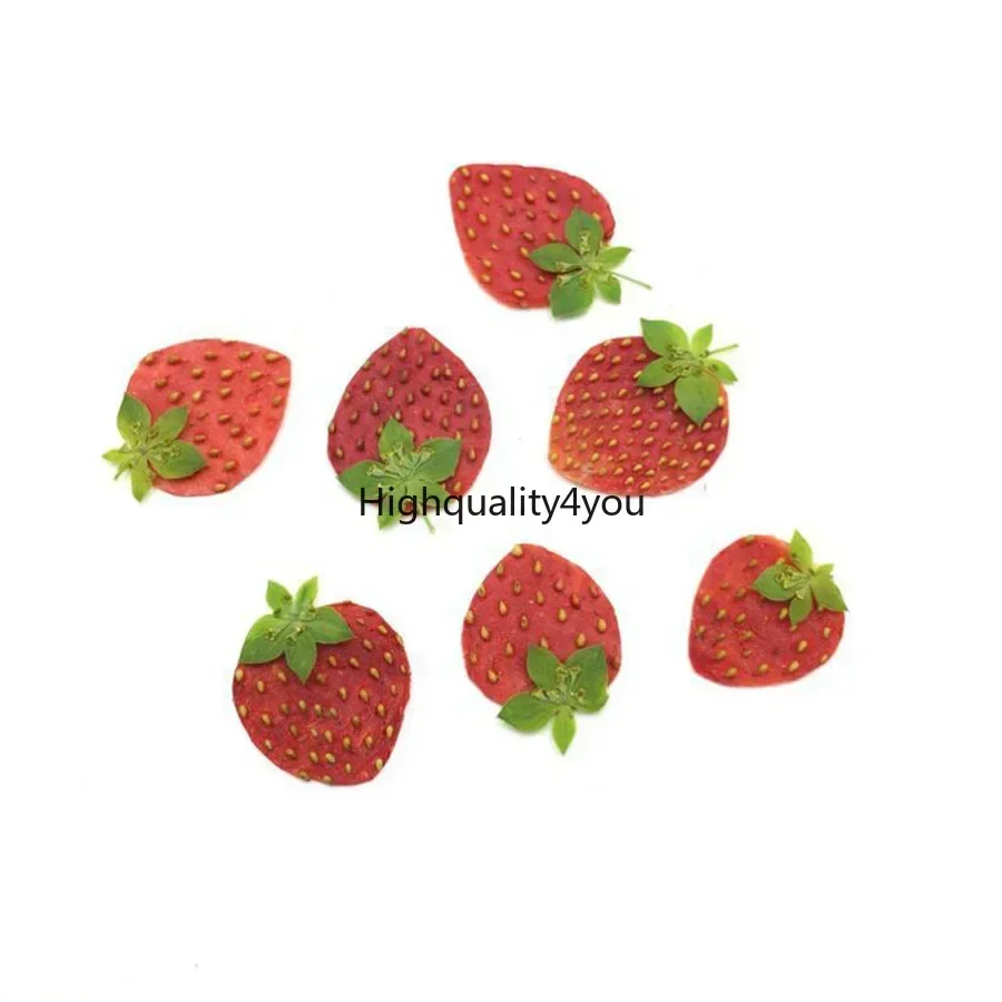 10pcs Dried Pressed Mini Fruit - Body Jewelry Display Case recensione e prezzo