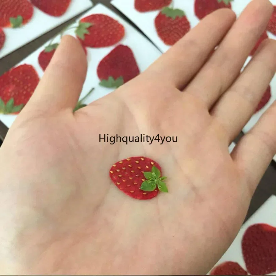 10pcs Dried Pressed Mini Fruit - Body Jewelry Display Case recensione e prezzo